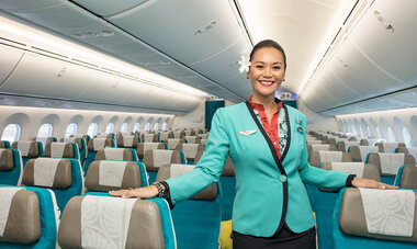 Air tahiti nui baggage outlet
